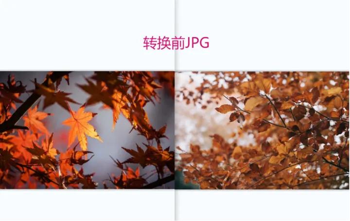 批量jpg文件夹转换为pdf文件夹,扫描件图片pdf可以转换jpg模式吗