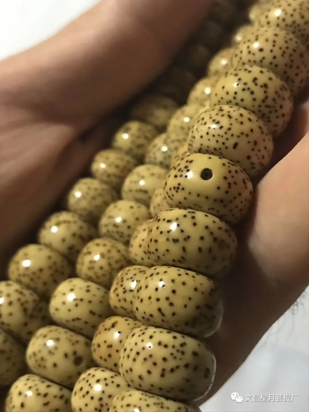 星月菩提有色差后怎么办,星月菩提怎么盘没有色差