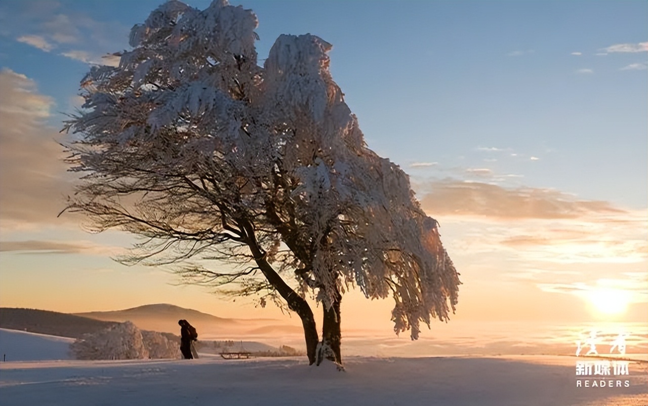 人这一生拼的是命吗,优秀的人都拥有破圈的能力