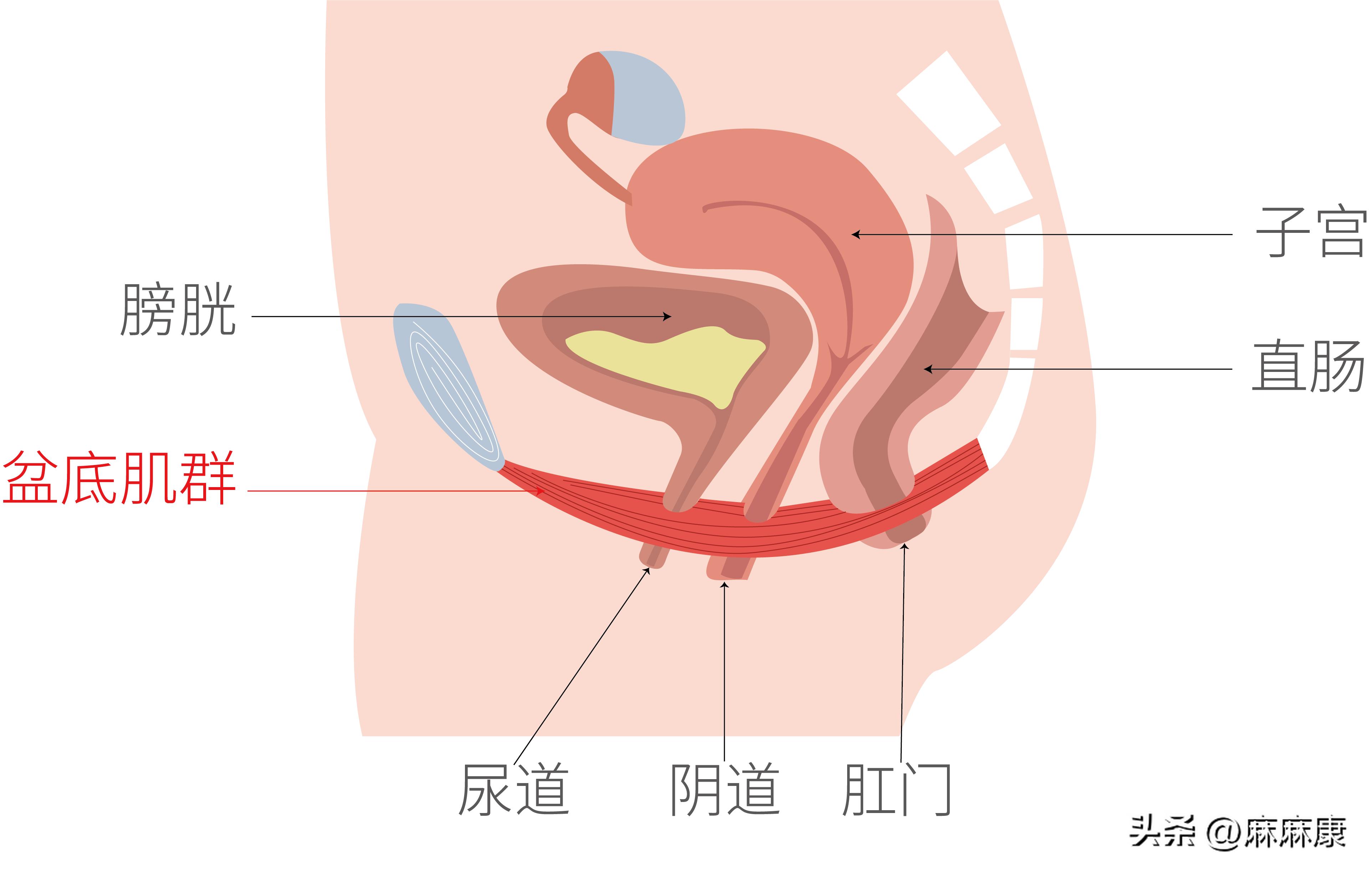 产后女性性功能障碍有哪些？怎么解决？