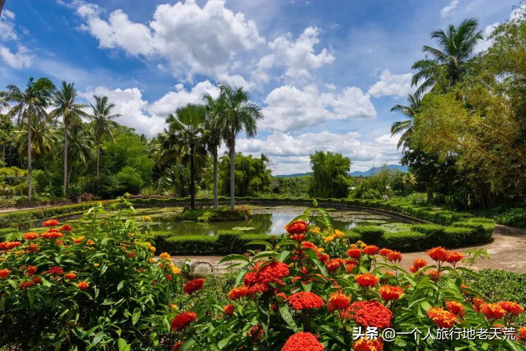 冲野浪、喝咖啡，比三亚便宜一半的海岛度假地，后悔没有早点知道