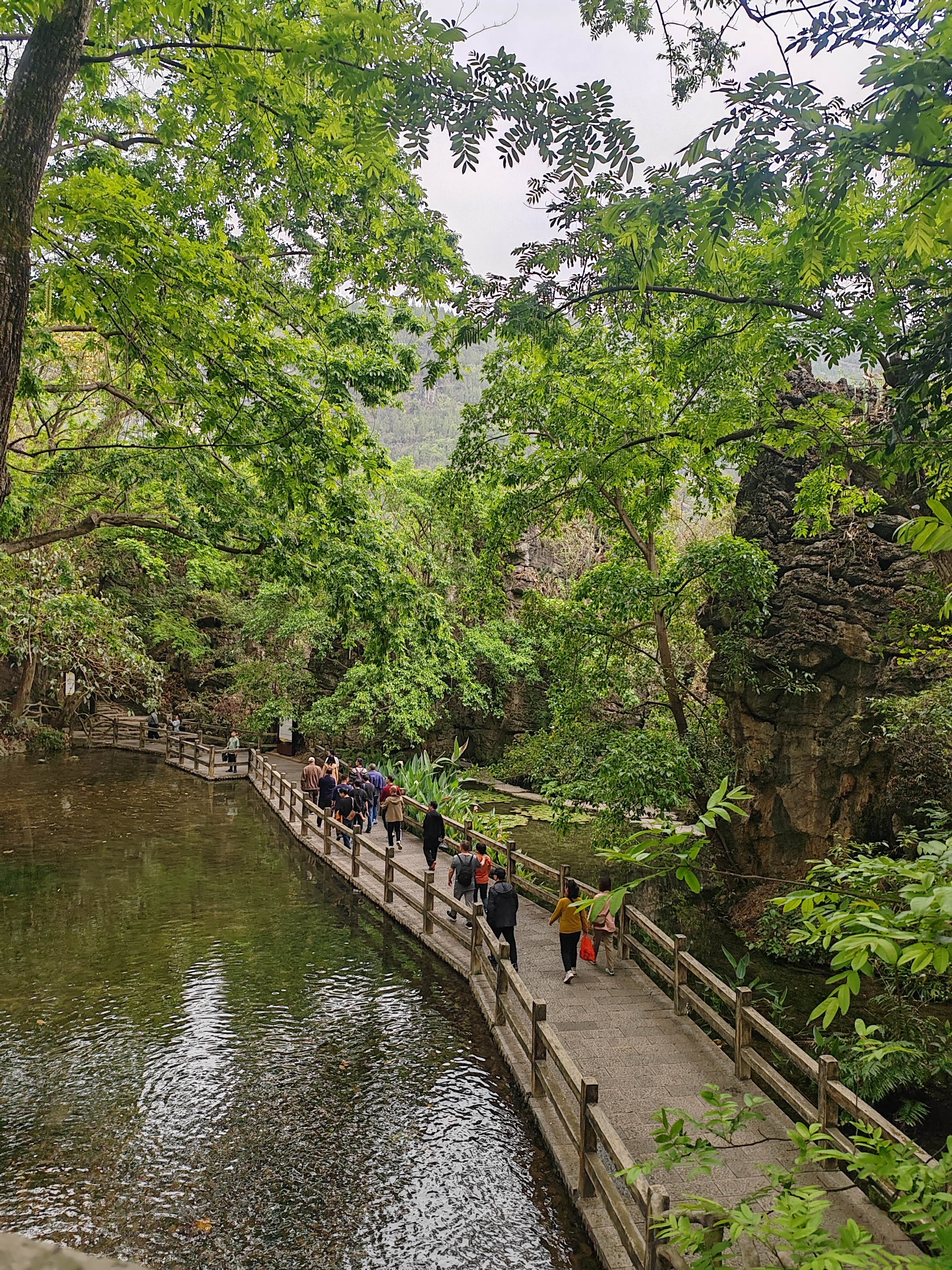 游贵州黄果树视频,贵州黄果树瀑布旅游攻略天星桥