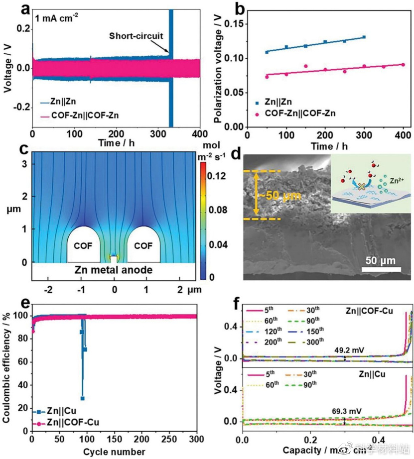 新型水系锌离子电池锰基材料,锌基水系电池