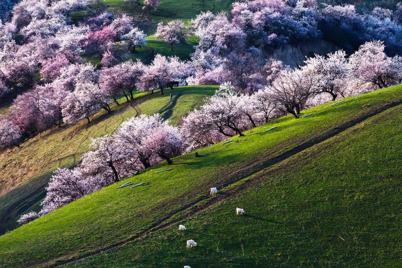 两句写春天的景色的诗句,写春景的五绝诗