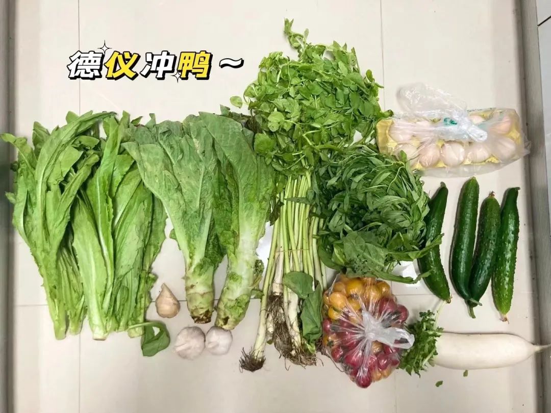 上海疫情期间的故事,上海疫情中的那些故事