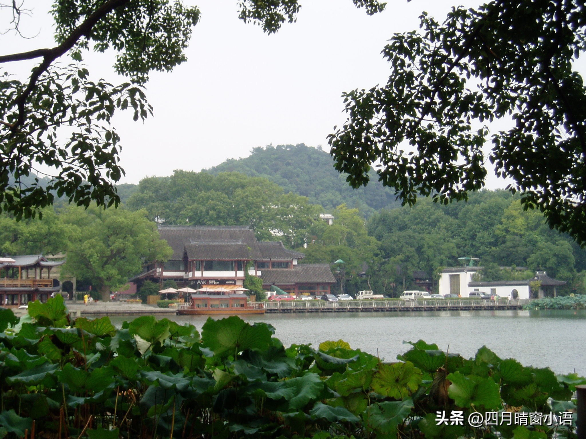 游西湖鬼怨经典选段,游西湖诗句