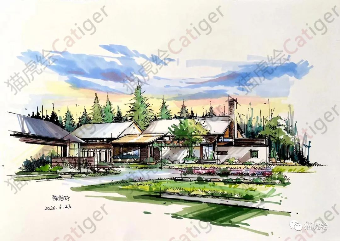 2022猫虎绘暑假手绘班招生简章「线上+线下」