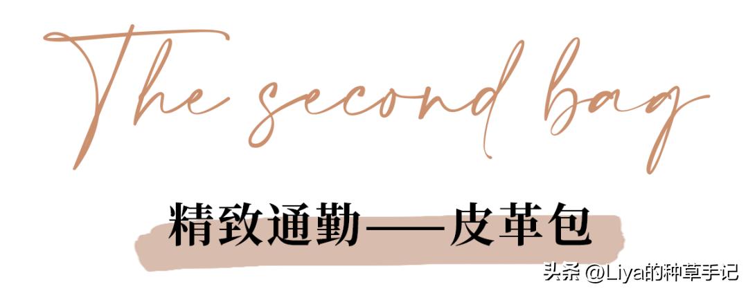 大包包推荐小众高级感轻奢,又休闲又时尚的大包包