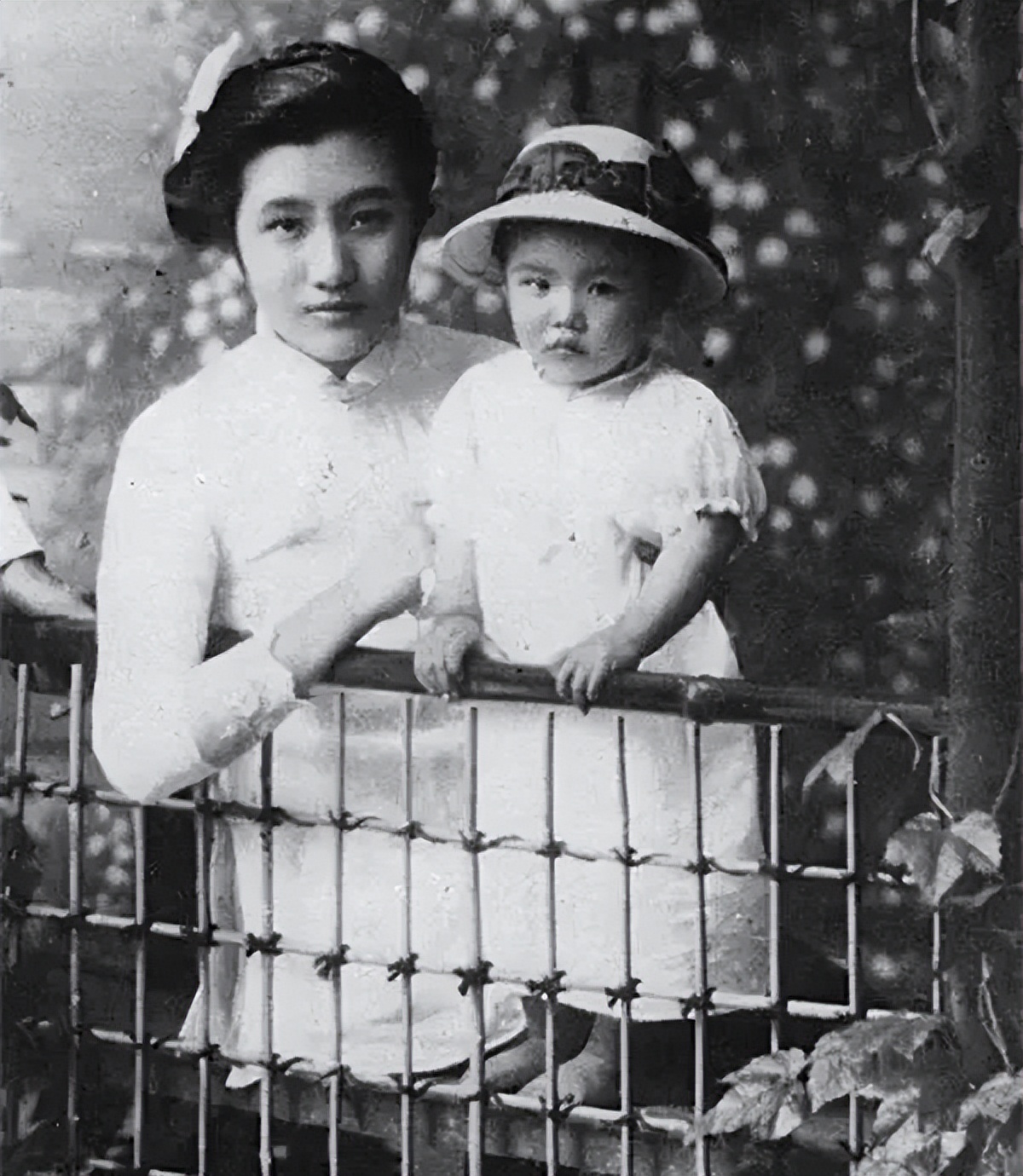 董竹君传奇一生19,董竹君传奇一生46