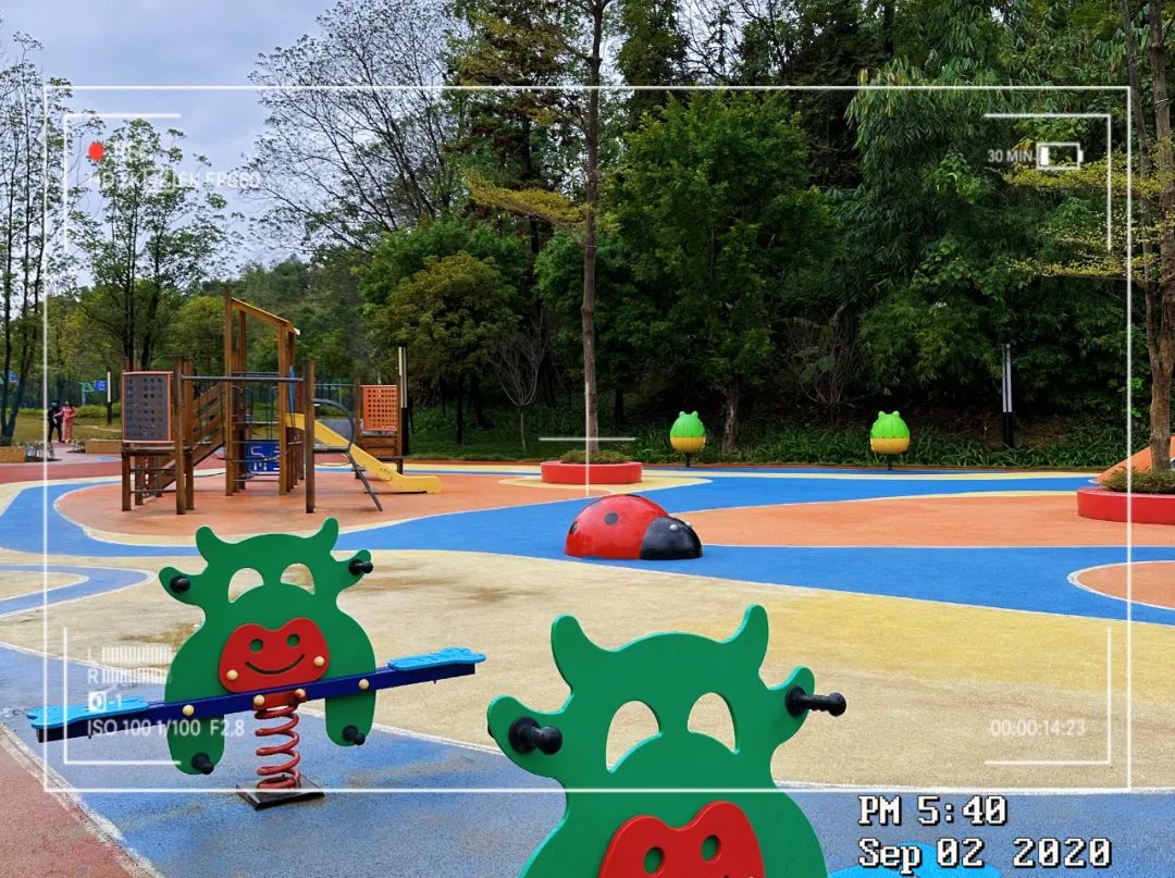 世界杯开始精彩,世界杯开始了没