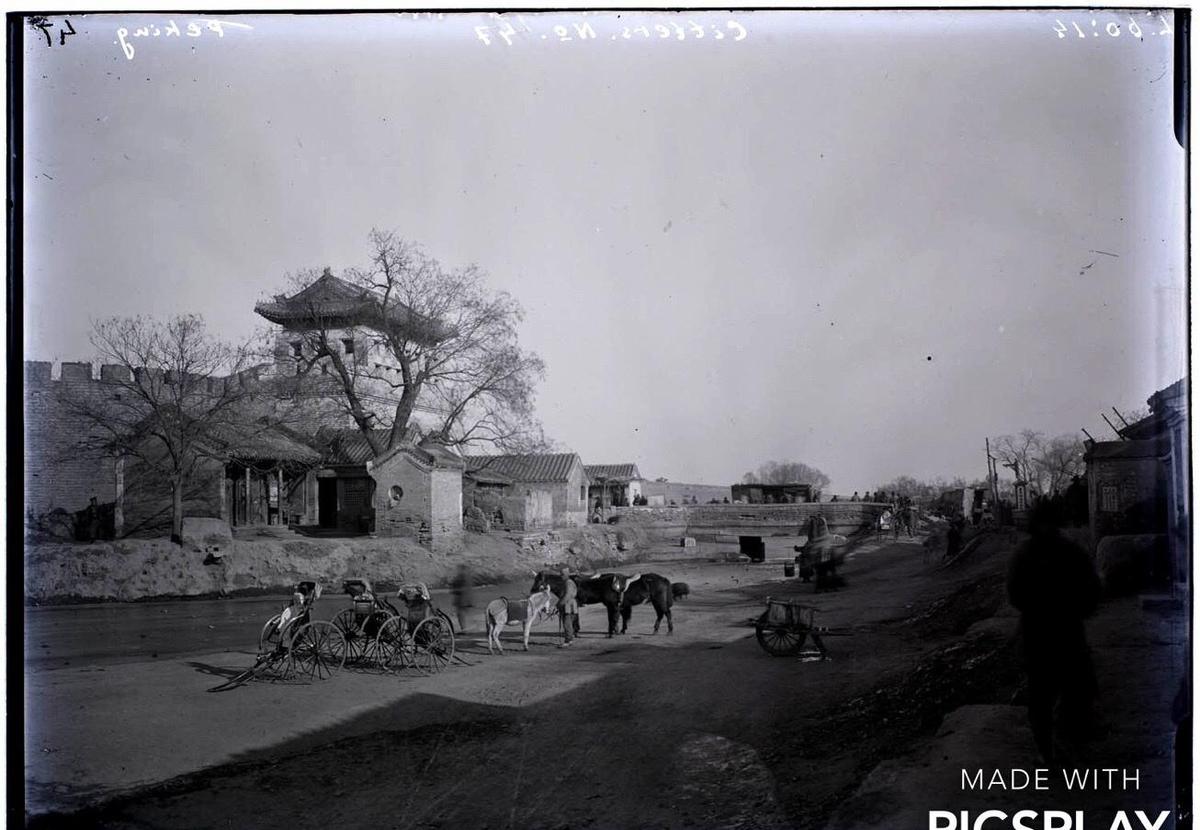 农村搞笑卖猪视频,80年代农民卖猪图片图文