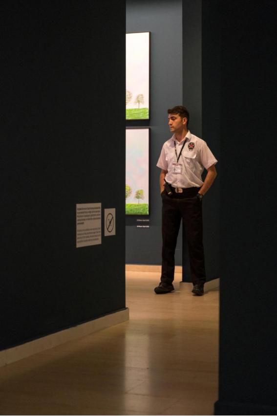 身高190的土耳其帅哥,土耳其的帅哥男图片