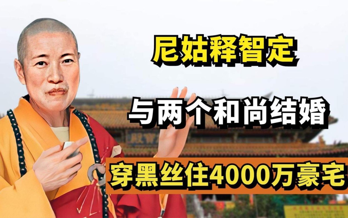 穿袈裟的老板释永信,释永信商业帝国