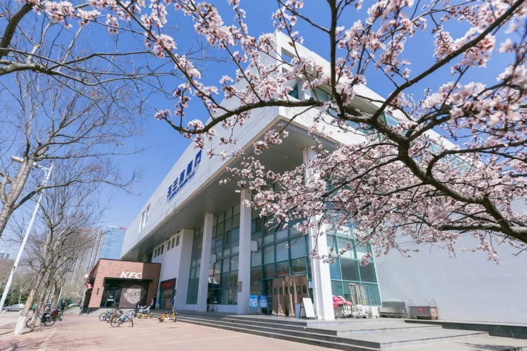 为什么叫中国石油大学,为什么报石油这个专业