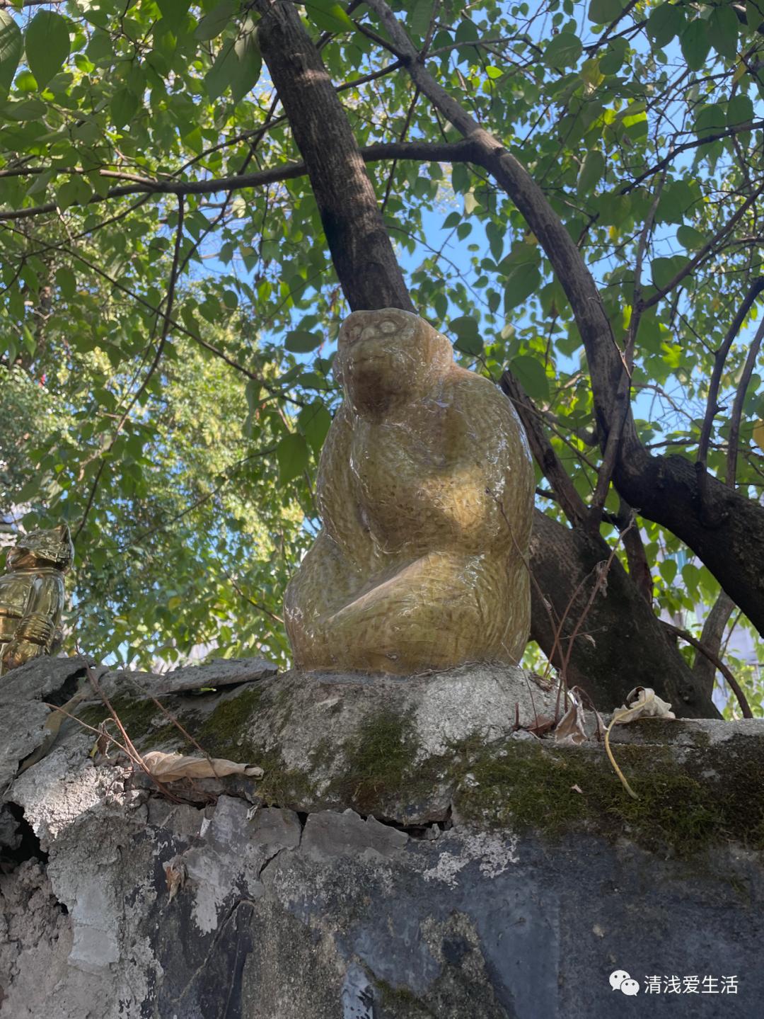 景德镇六大陶瓷市场,聊聊景德镇陶瓷市场