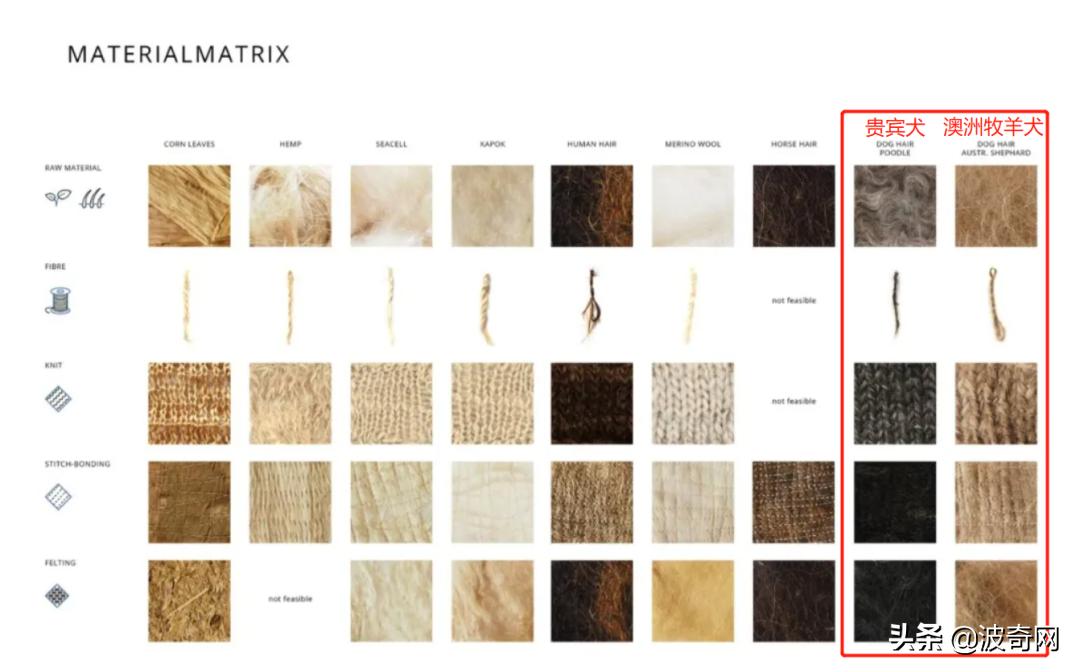 萨摩耶开始掉毛,萨摩耶铲屎官报道