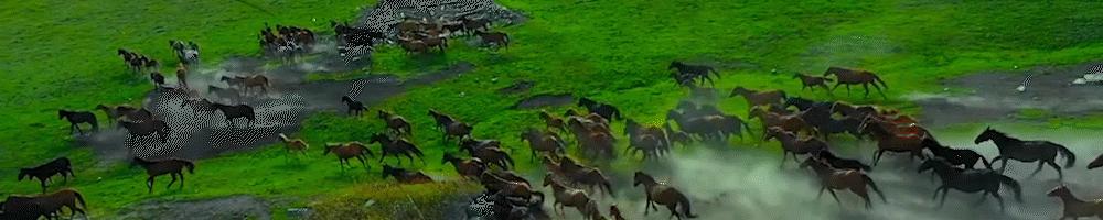 韩国贸易反制最新政策,韩国为何对中国态度转变