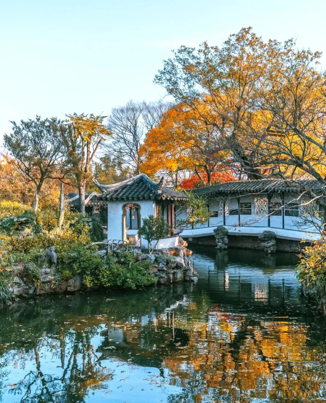 苏州秋季旅游最值得去的地方,苏州赏秋一日游攻略