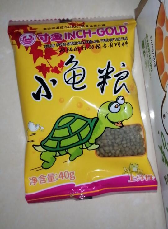 龟所有用品,新手养龟用品