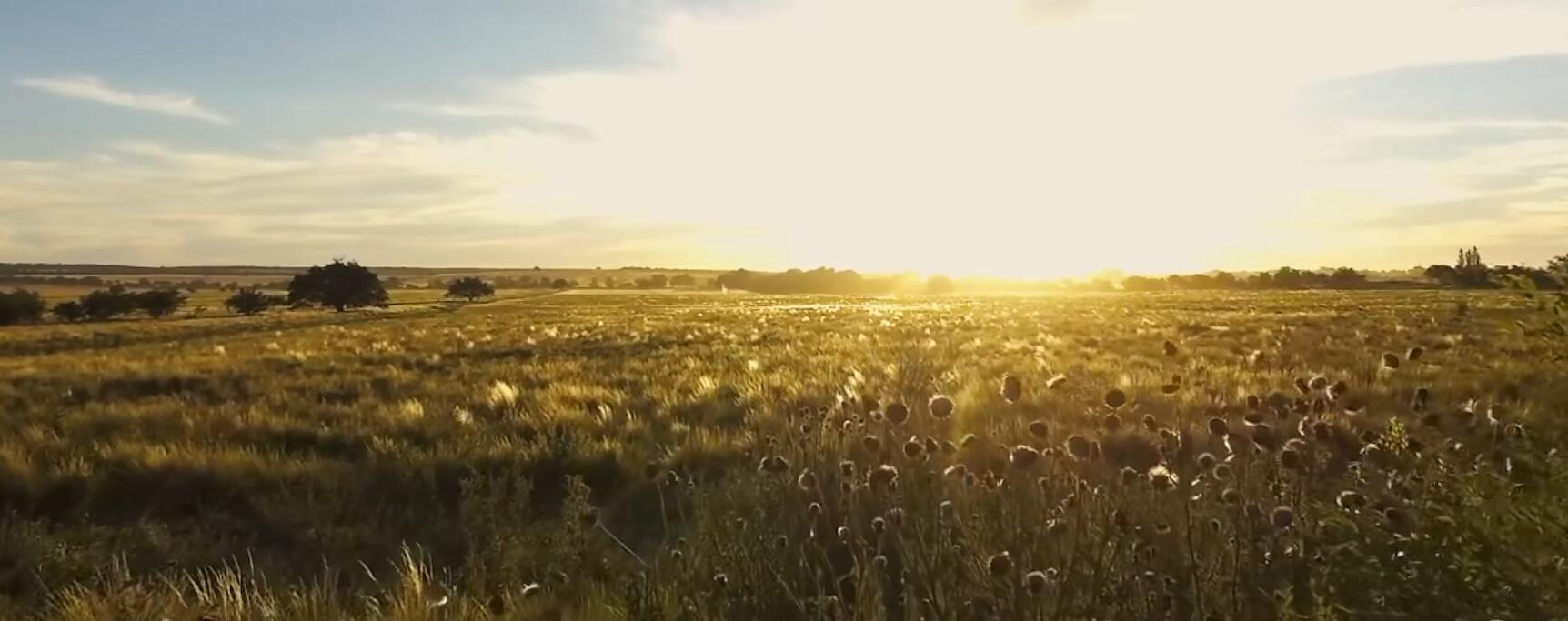 看阿根廷,去看看阿根廷的大城市