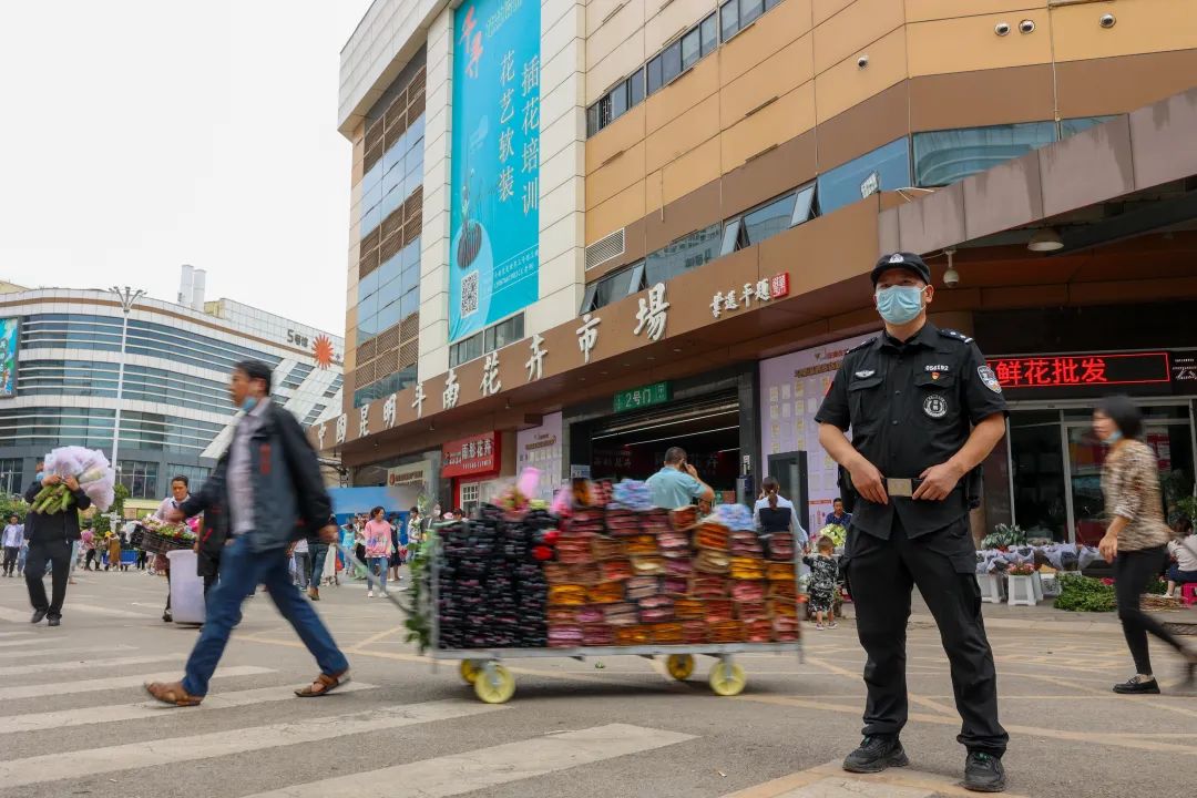 带你看看斗南鲜花市场,来斗南看看全亚洲最大的花卉市场