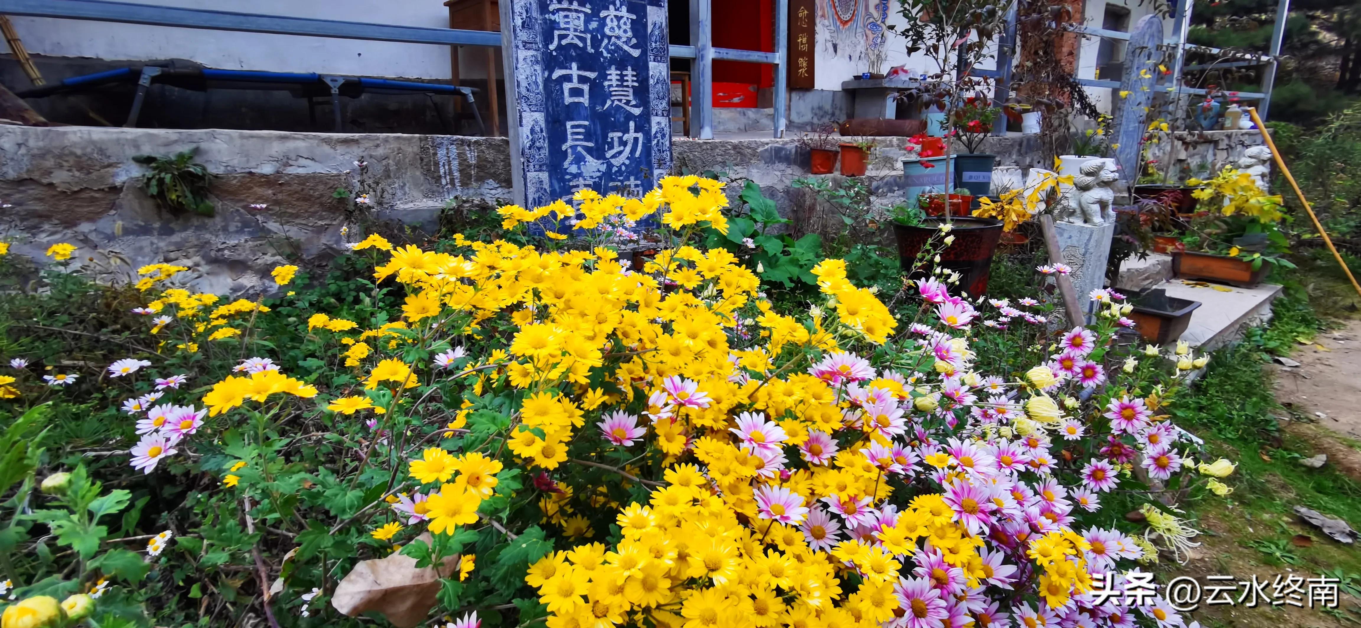 享个清福！到少有人知的峙峪看看漫山红叶，喝喝住山人清茶