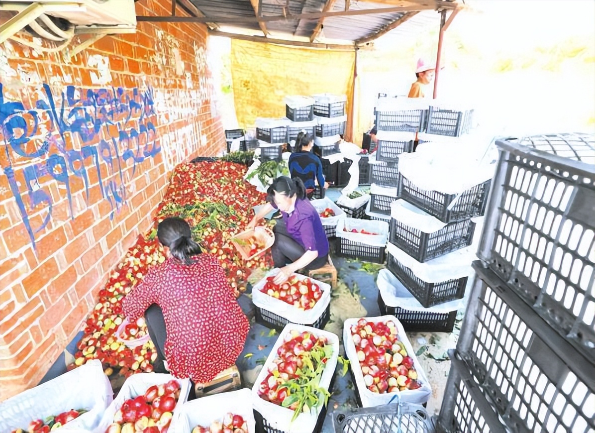 随州唐县镇现在的发展,唐县各乡镇经济实力