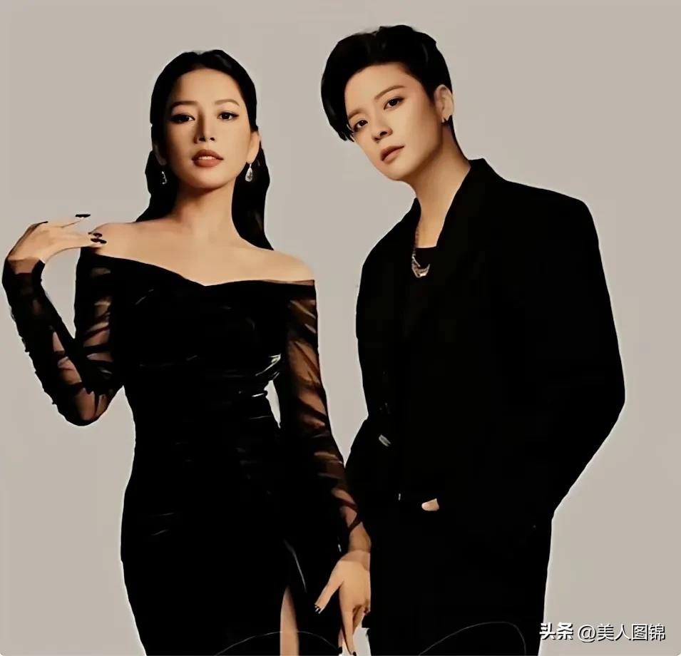 越南芝芙,芝芙越南