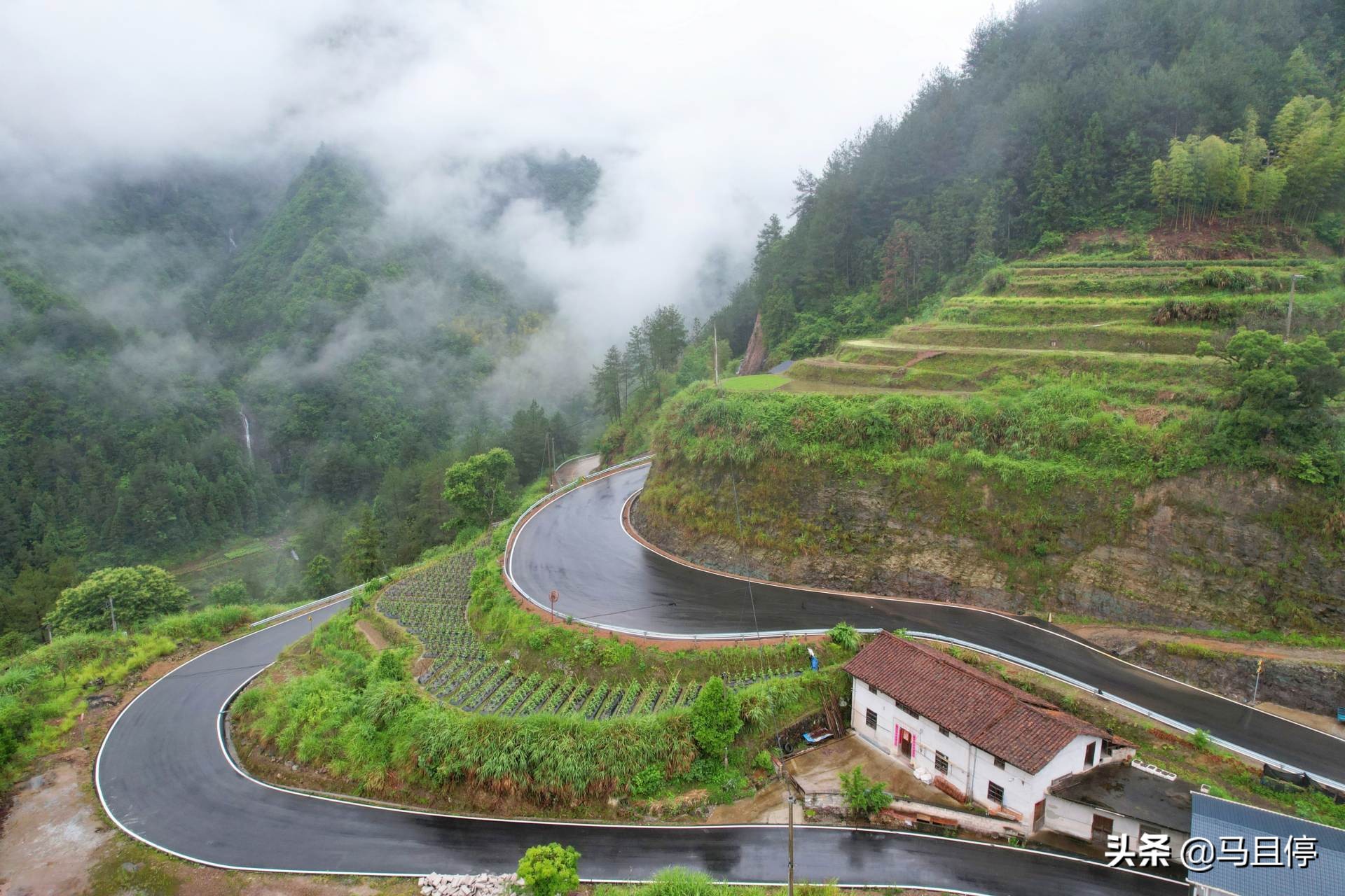 浙江丽水遂昌四天三夜,三天两夜浙江丽水旅游攻略
