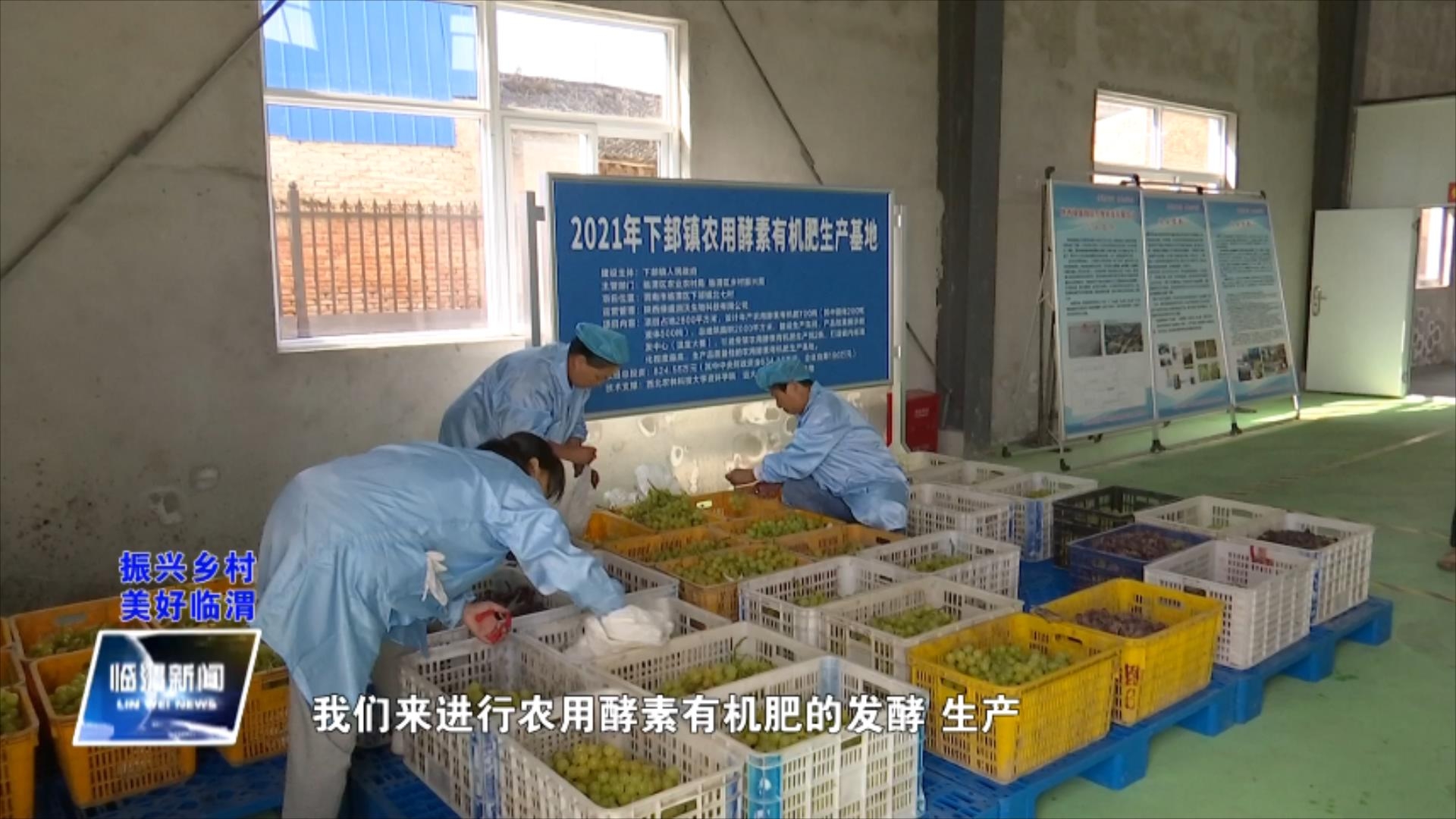 发展现代农业产业助力乡村振兴,发展休闲农业助力乡村振兴