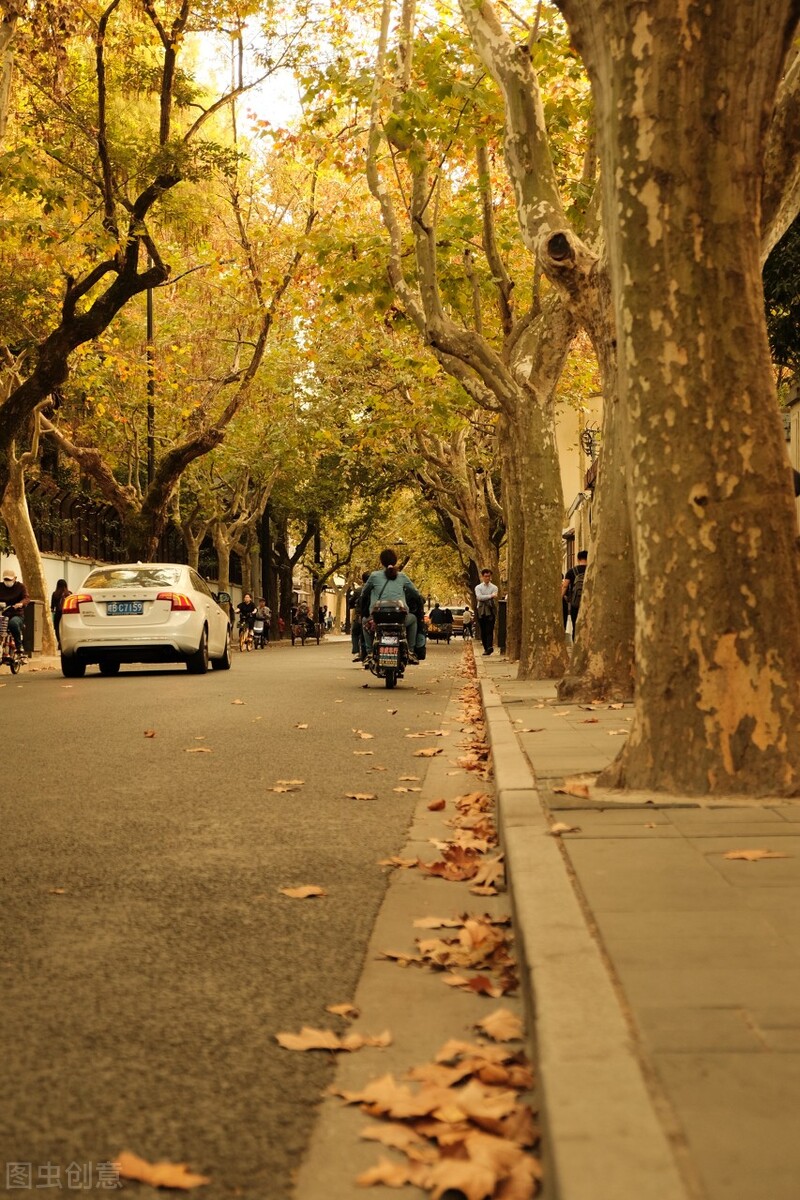 秋日上海好去处,上海秋日风景