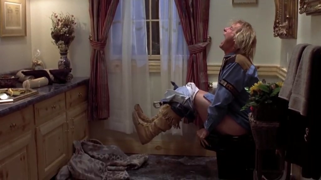 让人啼笑皆非的一部公路喜剧《阿呆与阿瓜》