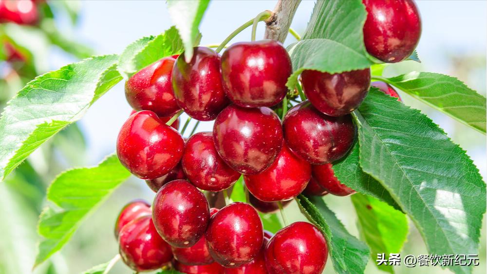 中老年人每天吃几种水果最适合,夏季适合中老年人吃的水果