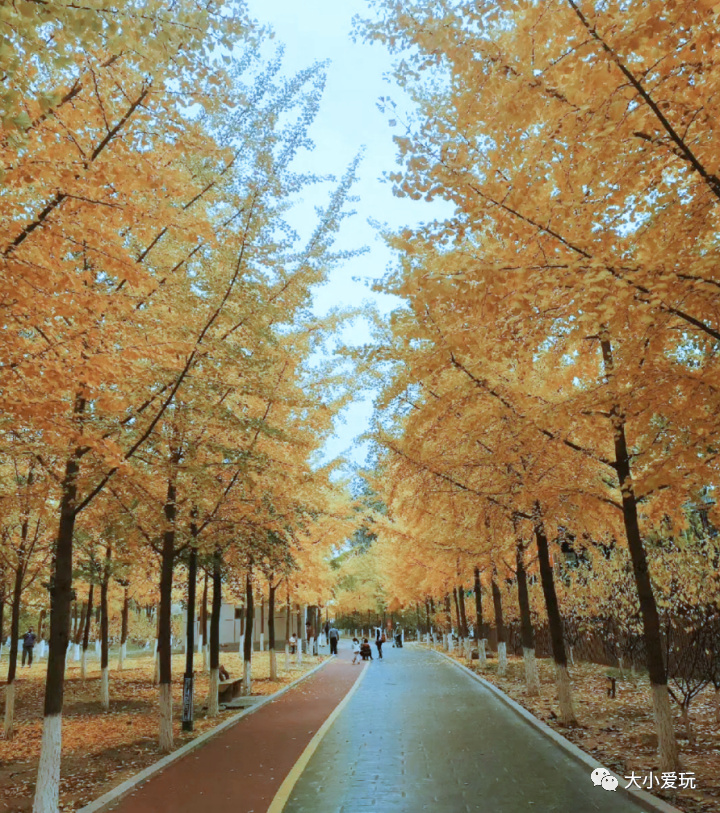 京城赏秋打卡胜地,北京赏秋小众景区