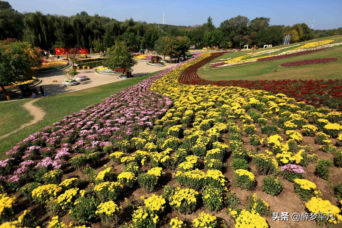沈阳植物园沈阳世博园,沈阳世博园和植物园区别