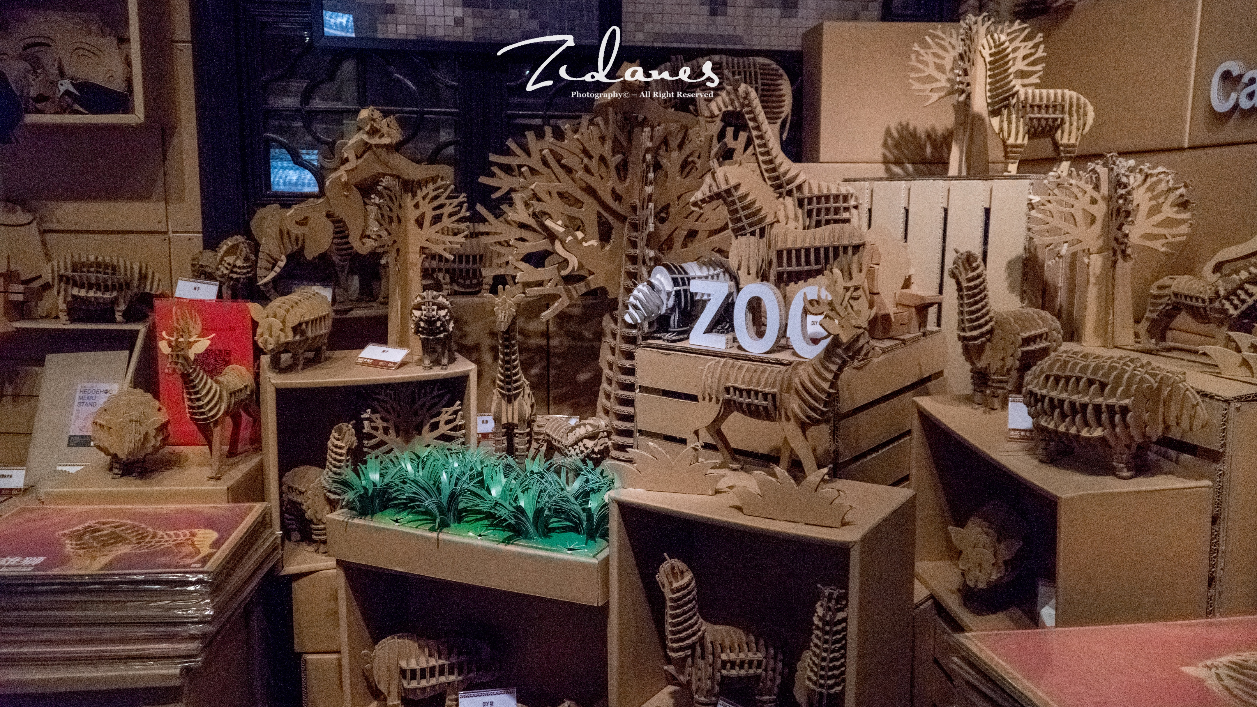 苏州周庄古镇水巷游,苏州周庄古镇最新旅游攻略