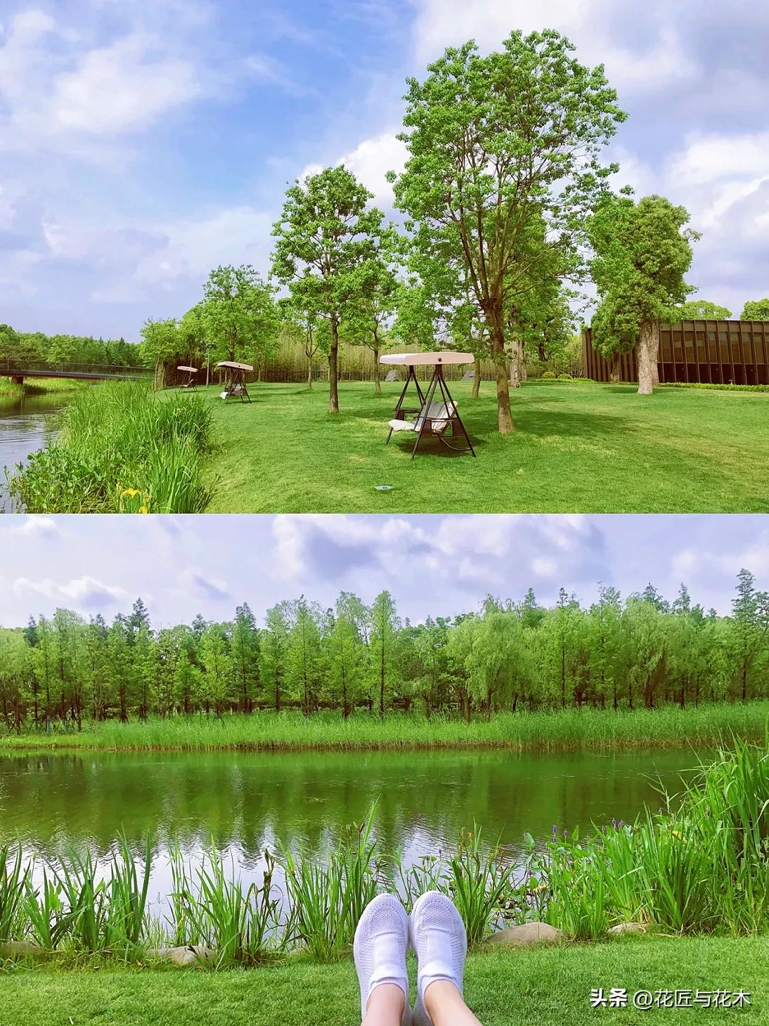 养云安缦上海云乡星愿,养云安缦·发现之旅·奔赴春天