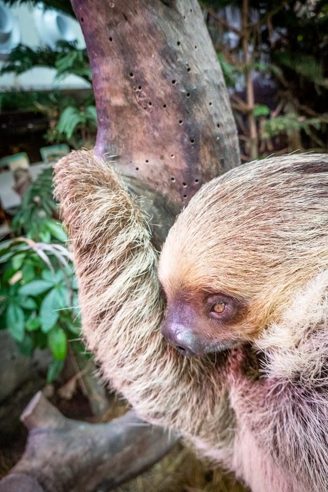 广州白云山风景区出现蛇,广州哪个景区好多蛇