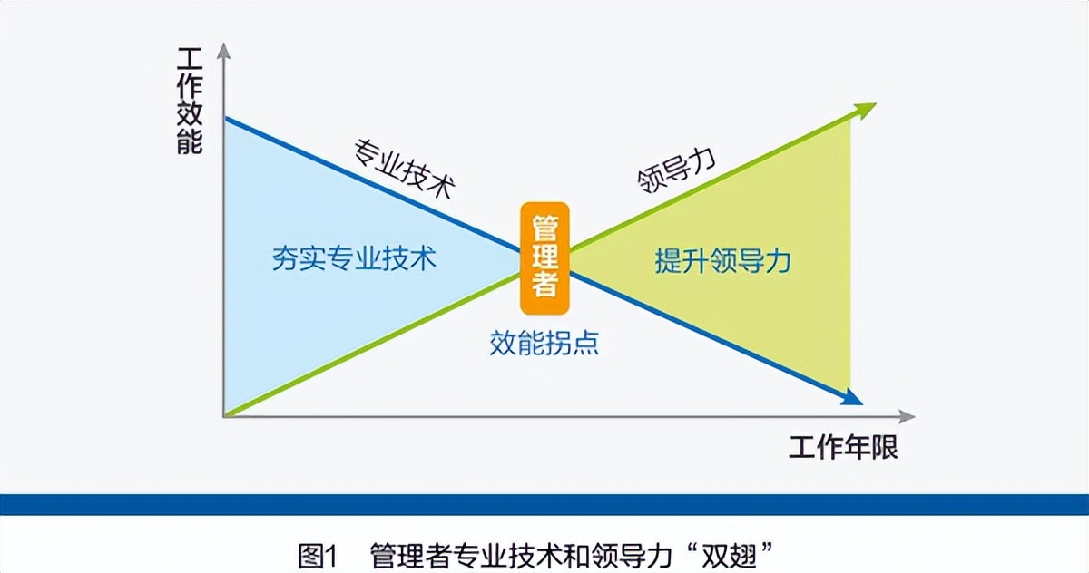 优秀领导如何培养人,优秀领导怎么培养员工