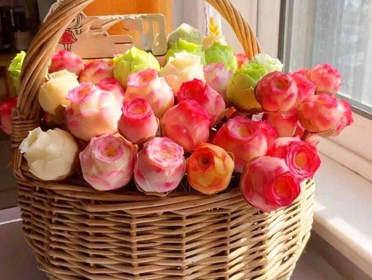 以前屋顶的多肉,多肉屋顶种植全过程