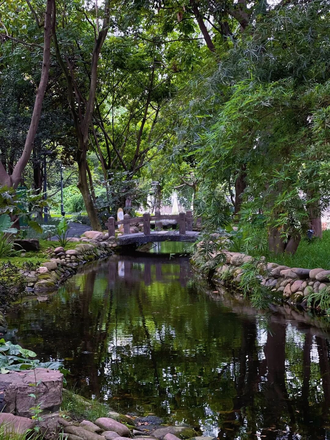 成都上新被施了魔法的“无蚊公园”!逛朋克风夜市、奇异洞穴书店