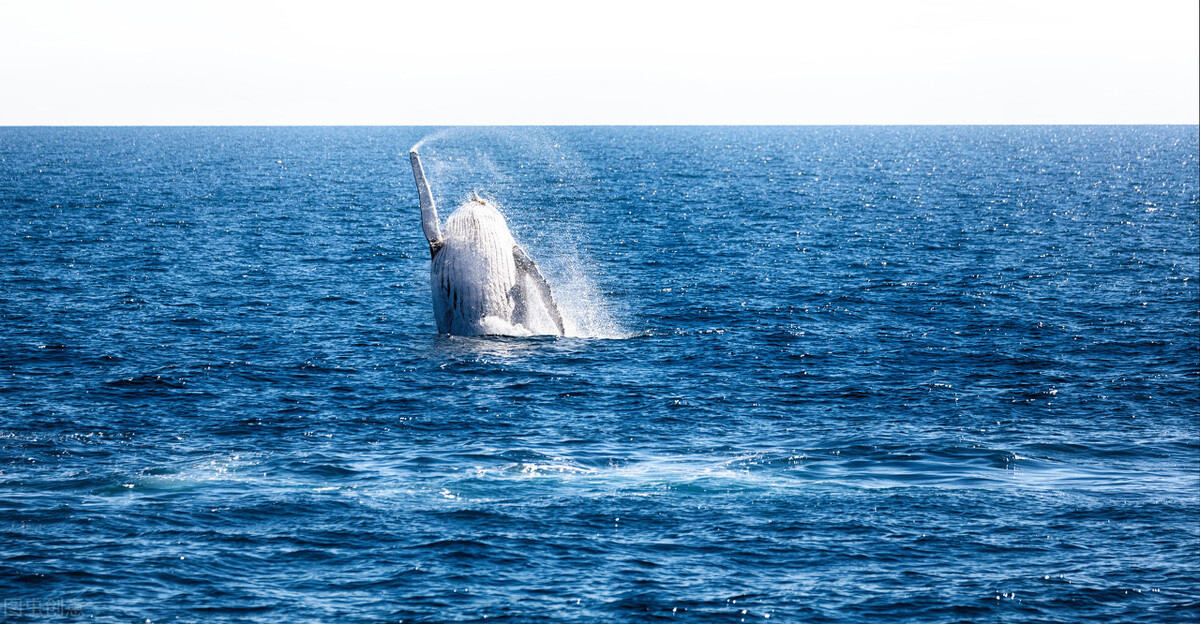 《中国大百科全书（第2版）》读书笔记8718-地球