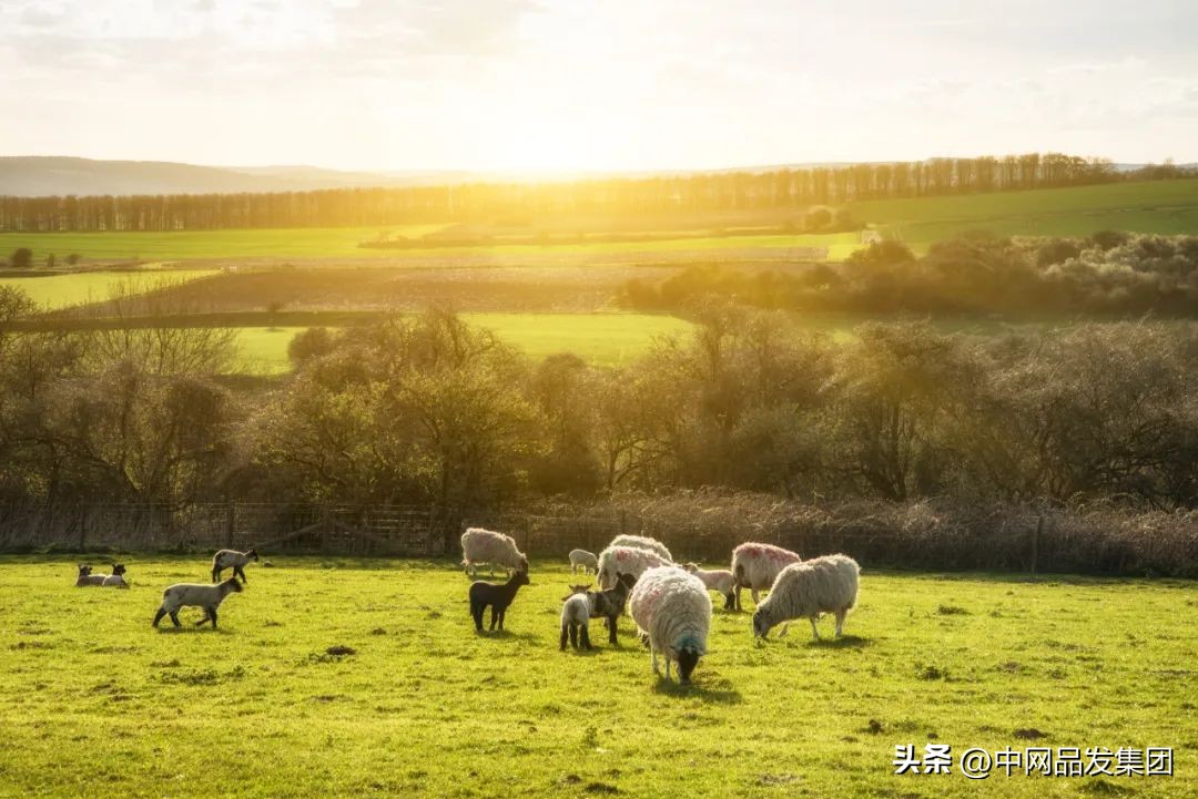 景点短视频营销技巧,带货技巧短视频营销
