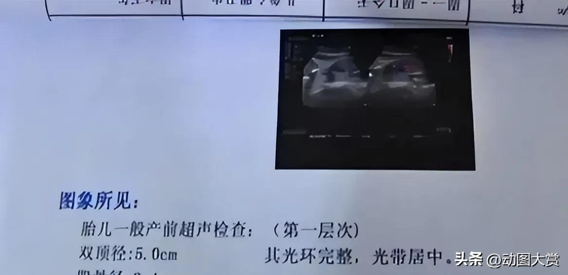 12年杀人烹尸案,重案六组两兄弟分尸