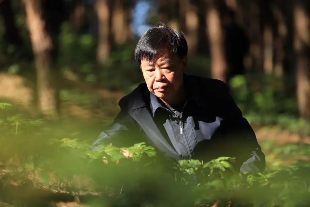 云南高质量跨越式发展,云南创新驱动