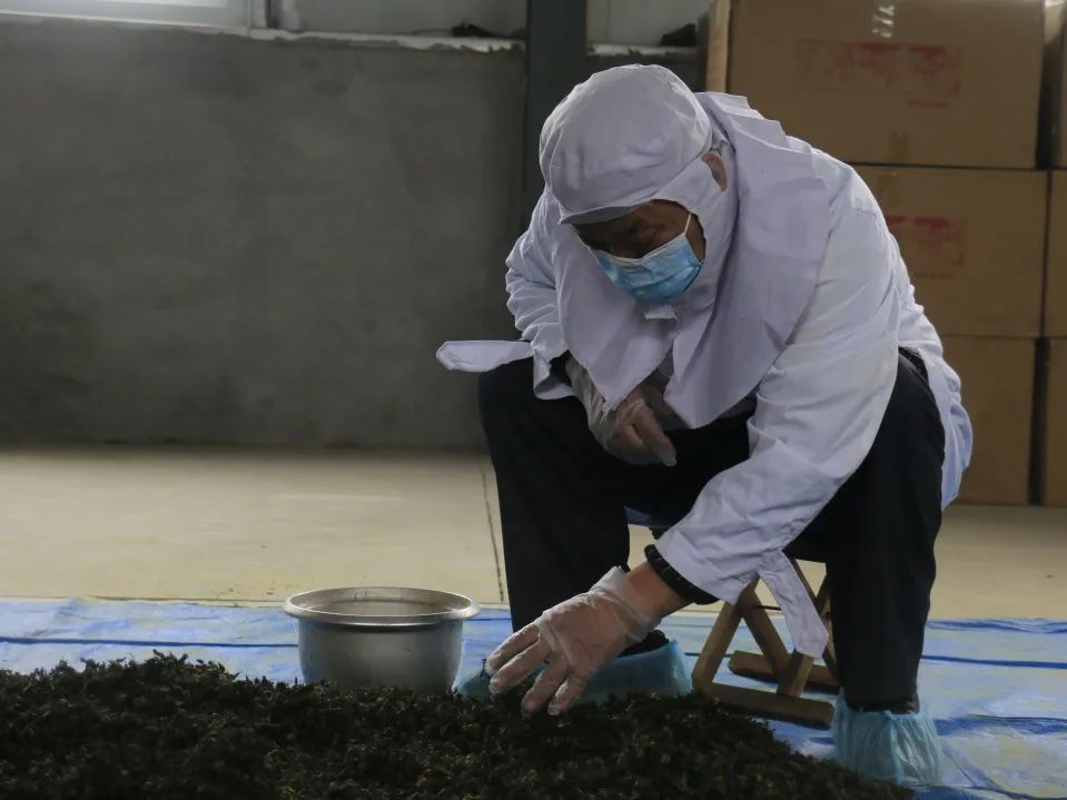 特色产业助力乡村振兴|鄌郚杜仲“小”雄花助农“大”增收