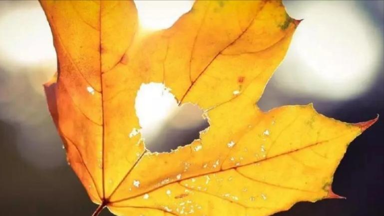 遇到小人别计较,遇到小人要学会反制