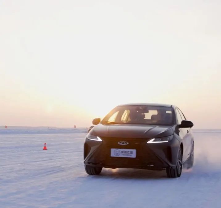 我与武清共赴春天