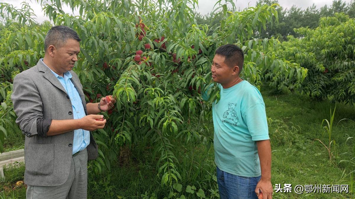 深耕农村沃土激扬梦想,深耕为民沃土赋能乡村振兴