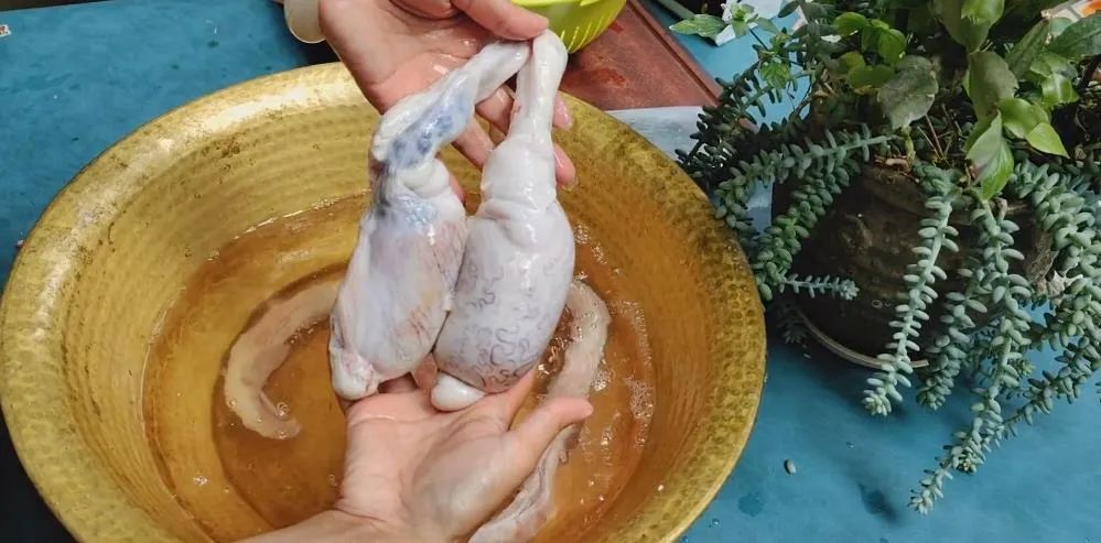 补肾补精吃生蚝和韭菜,生蚝补肾固肾的小方法